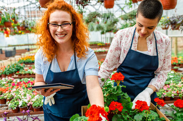 Two female florists working with flowers in a greenhouse preparing orders.