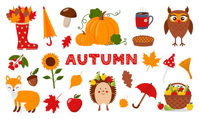 Colorful Fall collection, vector illustrations
