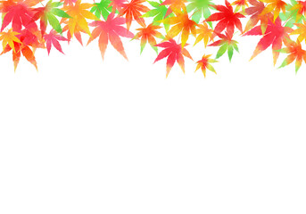 秋、色とりどりのもみじ 横フレーム