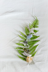 healing gemstones crystals set, witch amulets and green fern leaf on white fabric background....