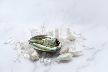 Clear quartz minerals, white sage bundle on abalone sea shell. incense for fumigation, cleansing,...