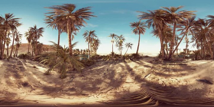 VR360 view of palm oasis in desert