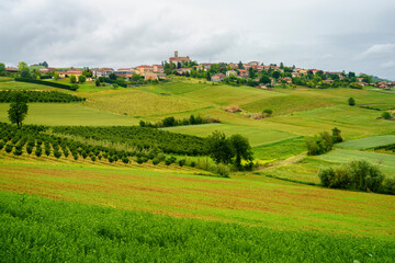 Fototapeta na wymiar Vineyards of Monferrato near Cuccaro at springtime