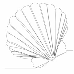 continuous line drawing seashell sketch