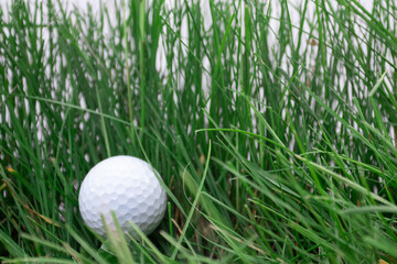 A white golf ball in the green grass for golf playing