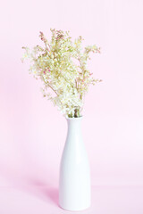 Bouquet of meadowsweet (Latin Filipndula), jasmine and wild roses in a vase on a pink background.	