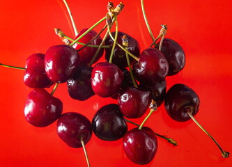 Naklejka na ściany i meble Ripe cherries on a solid background, healthy vegetarian food. Beautiful