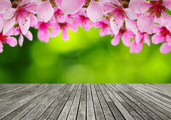 Naklejka na ściany i meble wooden spring blossom