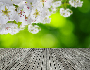 wooden spring blossom