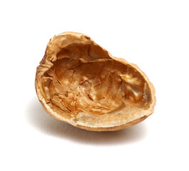 Single walnut on a white