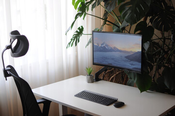 Simple home office with curved screen and orthopaedic chair.Interior with plants