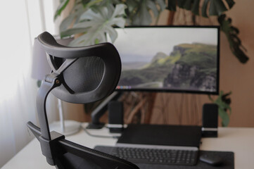 Orthopaedic chair for work at home. Minimalism home office interior with plants