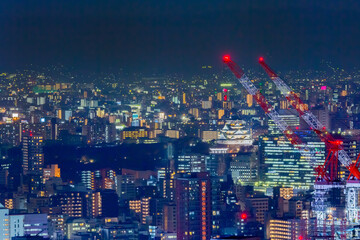 大阪城の夜景
