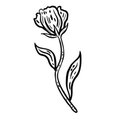 Flower with stem and leaves. Hand drawn vector illustration. Monochrome black and white ink sketch. Line art. Isolated on white background. Coloring page.