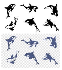Killer whale. Whale in water. Seamless pattern