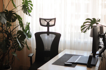 Simple office with plants around. Curved screen and orthopaedic chair for work