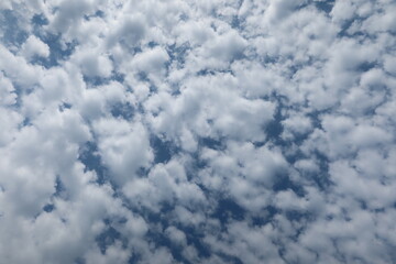 Altocumulus clouds. The sun shines through the Altocumulus clouds. Cloudscape with altocumulus...