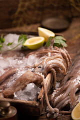 Fresh squid for sale on the market