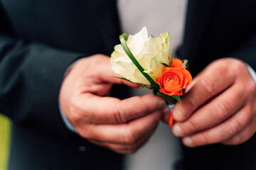 Rose in mano