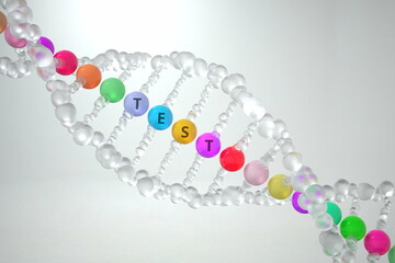 DNA molecule with TEST text. 3D rendering