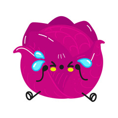 Cute sad and crying red cabbage  character. Vector hand drawn cartoon kawaii character illustration icon. Isolated on white background. Red cabbage character concept