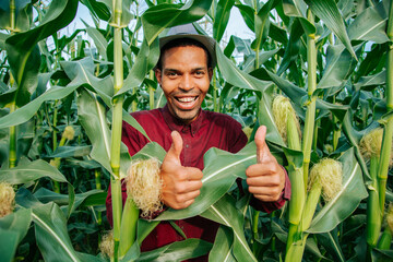 portrait of an african american farmer smiling at camera and showing thumbs up. male farmer in the...