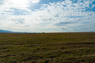 Obraz premium autumn landscape, field and blue sky with clouds