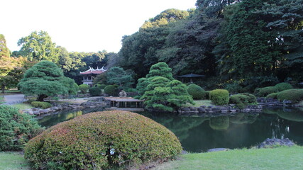 Beautiful park in Tokyo, Japan