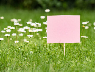 Rose paper sign on a meadow between grass and daisies. The surface of the banner is empty to add text.