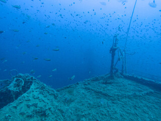 Wreck diving at Haven Wreck in the gulf of genova