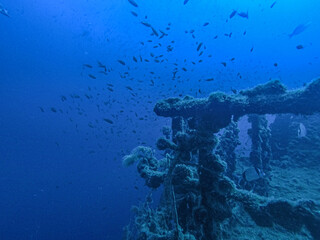 Wreck diving at Haven Wreck in the gulf of genova