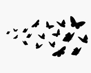 Fototapeta na wymiar Abstract vector background with flying butterflies silhouettes. A flock of black butterflies isolated on white backdrop.