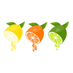 Citrus slice with juice dropping on white background