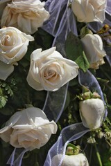 bouquet of white roses