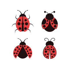 Ladybug icon set design illustration template