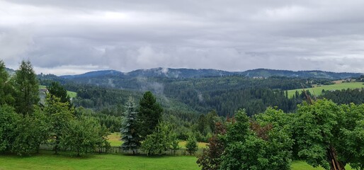 landscape with trees