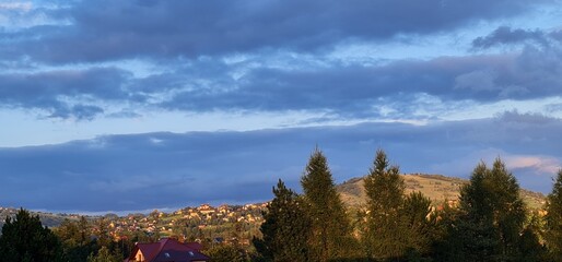 clouds over the forest