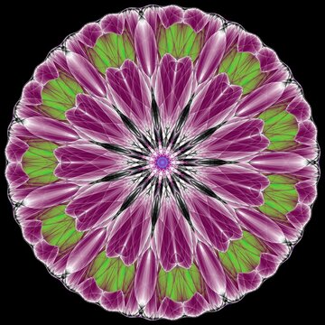 Abstract fractal illustration