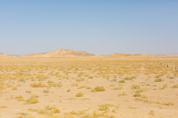 Fototapeta na wymiar vast desert and dry plants in hadramaut, yemen 