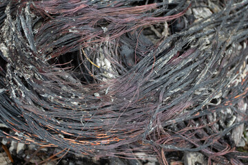 Burnt copper Metal wires