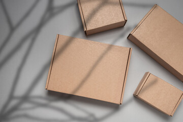 Brown flat cardboard carton box decorated with tree branch shadow