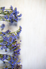 Blue statice flowers bunch on white background with copy space