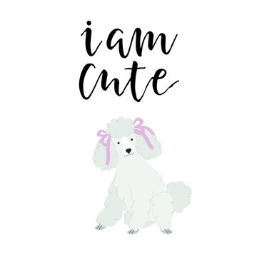 Vector illustration with cute poodle and text I am cute.