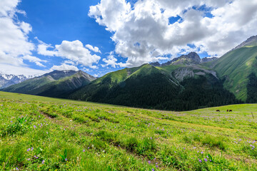 Obraz premium Mountain and grassland scenery in Xiata Scenic Area,Xinjiang,China.