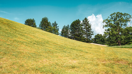 Dramatic Landscape of A Green Forest under The Thunderhead or Cumulonimbus in Summer in Japan,...