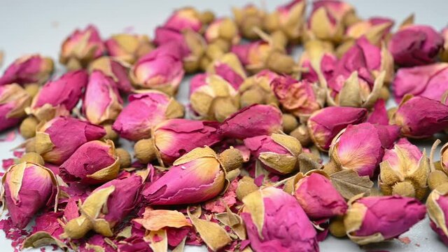 angle pan herb MeiGuiHua or Rosae Rugosae Flos or Rose