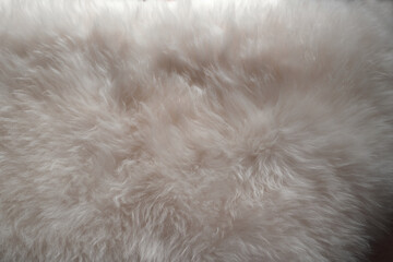 white sheepskin texture with soft hairs, natural fur for the designer, the concept of processing,...