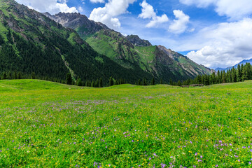 Fototapeta na wymiar Mountain and grassland scenery in Xiata Scenic Area,Xinjiang,China.