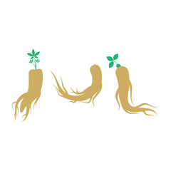 Ginseng icon set design template illustration