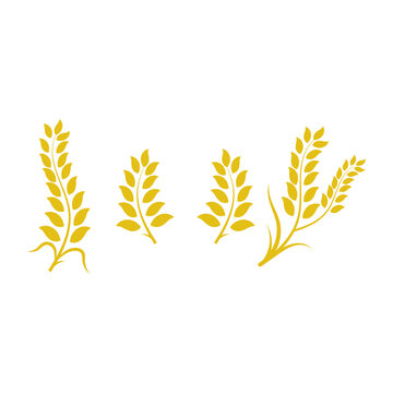 Wheat icon set design template illustration